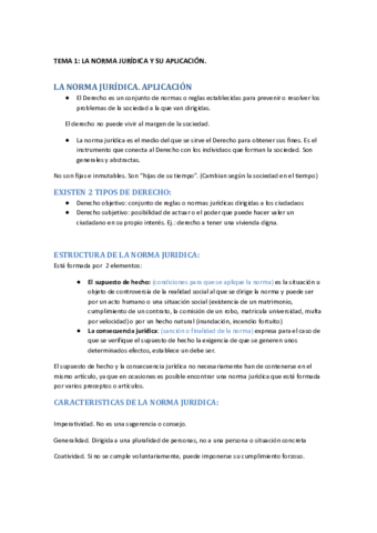 tema-1-y-2-TEORIA-DE-LA-NORMA-RESUMEN.pdf