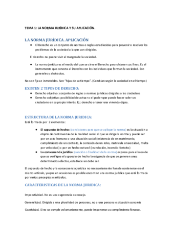 tema-1-y-2-TEORIA-DE-LA-NORMA-RESUMEN.pdf