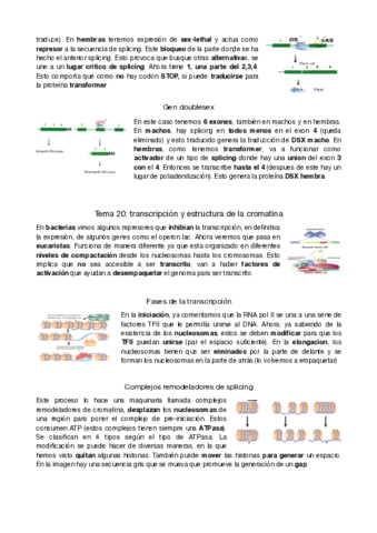 genetica-molecular-tema-20-21-y-22.pdf