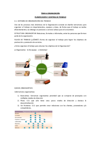 TEMA-4-org.pdf