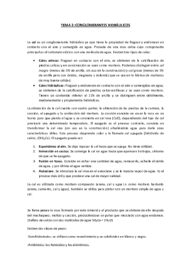 RESUMEN TEMA 3.pdf