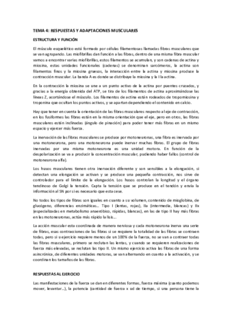 B1-T4.pdf