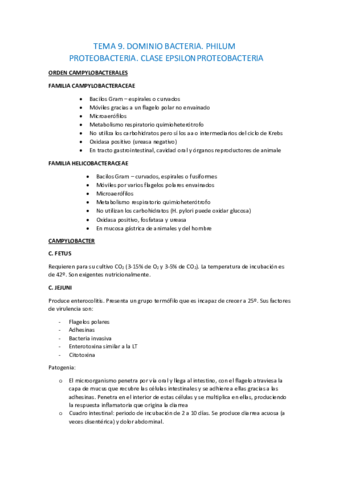 Miniatura del documento TEMA 9 CHECA.pdf
