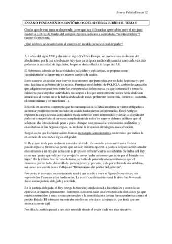 ENSAYO-FUNDAMENTOS-tema-5.pdf
