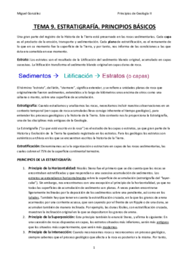 T9-PRINCIPIOS DE ESTRATIGRAFÍA.pdf