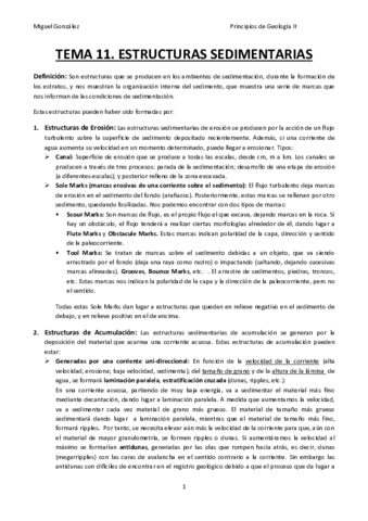 T11-ESTRUCTURAS SEDIMENTARIAS.pdf