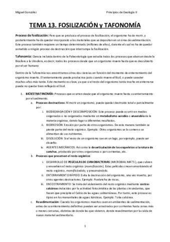 T13-FOSILIZACIÓN.TAFONOMÍA.pdf