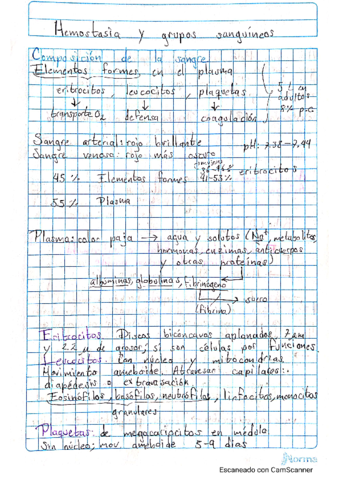 Notas-teoricas.pdf