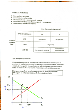 Tema 5- Microeconomia.pdf
