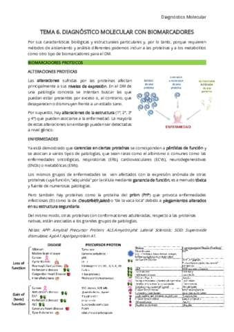 T6-DM.pdf