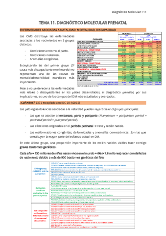 T11-DM.pdf