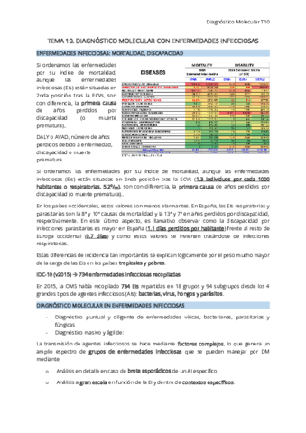 T10-DM.pdf
