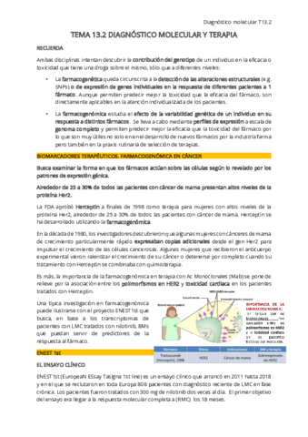 T13.pdf