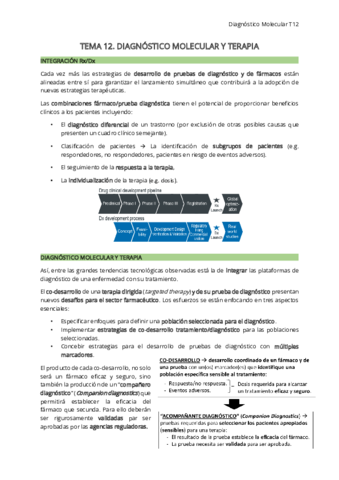 T13.pdf
