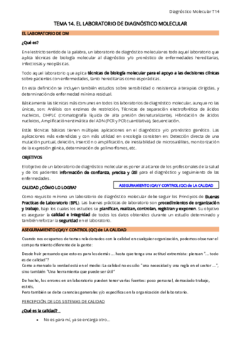 T14-DM.pdf