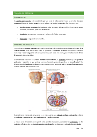 Tercer-Parcial-Fisiologia.pdf