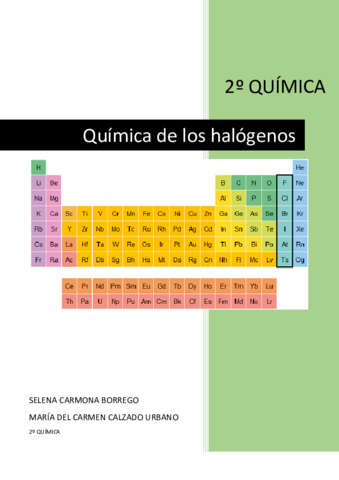 Memoria-Halogenos.pdf