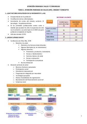 ATENCION-PRIMARIA.pdf