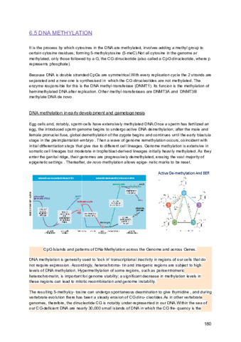 FMC-I-3-.pdf