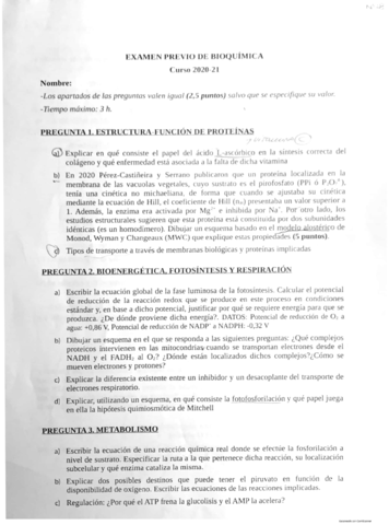 Examen-Previo-2020-2021.pdf