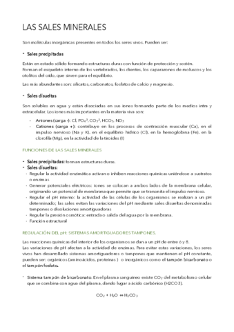 Sales-minerales.pdf