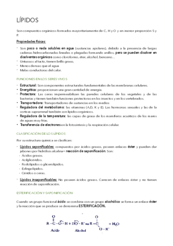 Lipidos.pdf