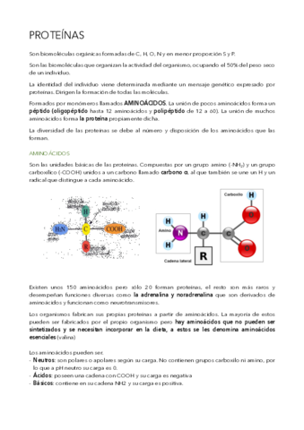 Proteinas-.pdf