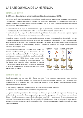 La-base-quimica-de-la-herencia.pdf