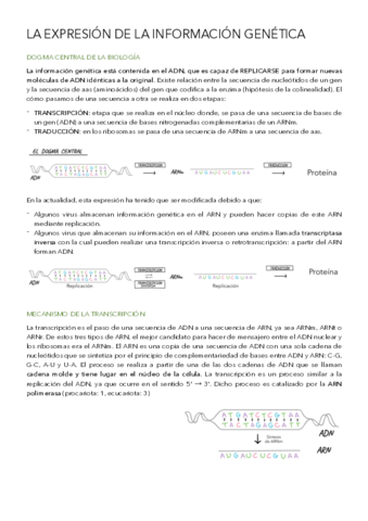 La-expresion-de-la-informacion-genetica-.pdf