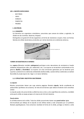 AGENTES-INFECCIOSOS.pdf