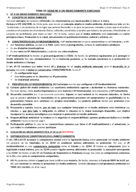 TEMA 10 ADMINISTRATIVO III.pdf