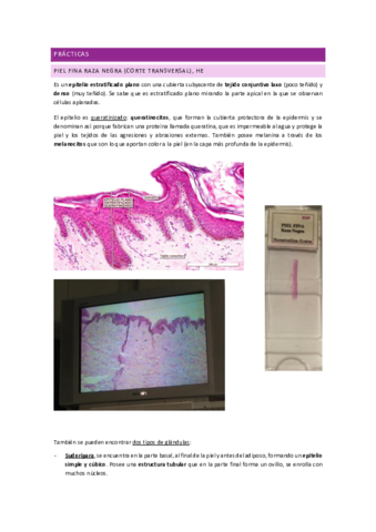 Practicas-histologia.pdf