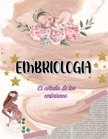 EMBRIOLOGIA.pdf