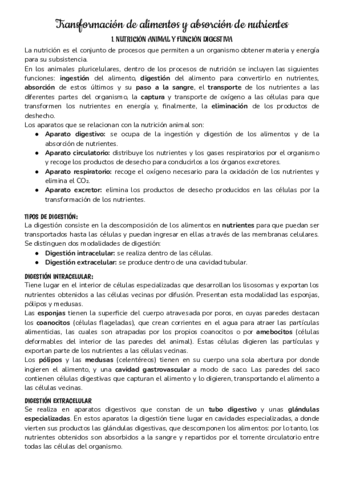Transformacion-de-alimentos-y-absorcion-de-nutrientes.pdf