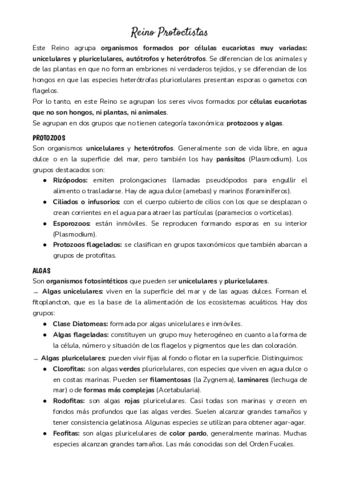 Reino-protoctistas.pdf