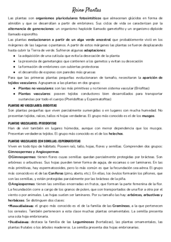 Reino-Plantas.pdf