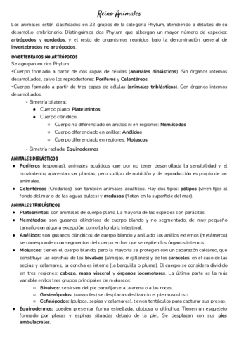 Reino-Animales.pdf