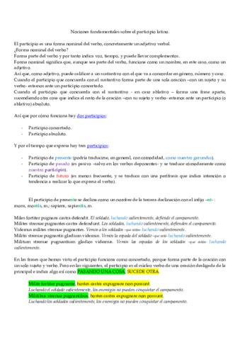 Lo-imprescindible-que-hay-que-saber-sobre-el-participio.pdf