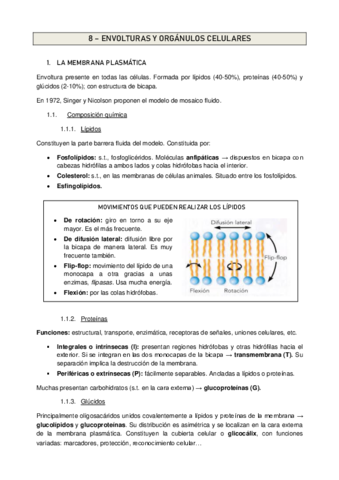 Tema-8.pdf
