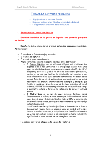 09-Actividad-pesquera.pdf