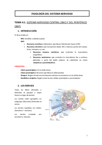 TEMA-4-FISIOLOGIA-DEL-SISTEMA-NERVIOSO-.pdf