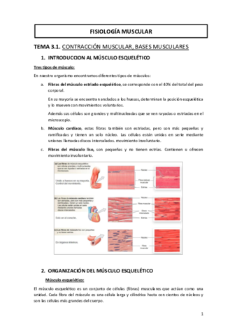 TEMA-3-FISIOLOGIA-MUSCULAR.pdf