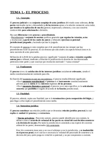 Derecho-Procesal-Resumen.pdf
