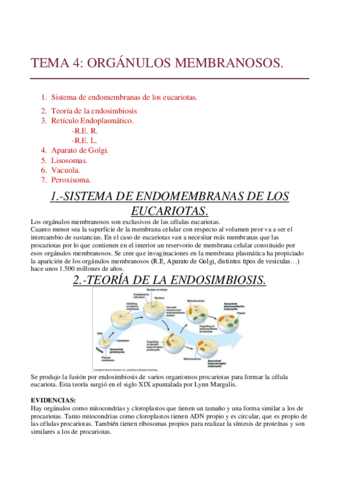 TEMA-4.pdf