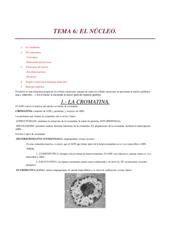 TEMA-6.pdf