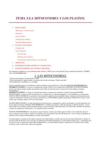 TEMA-5.pdf