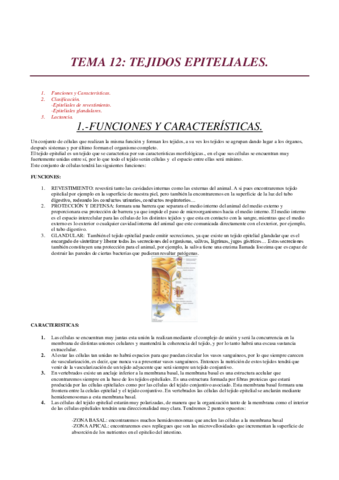 TEMA-12.pdf