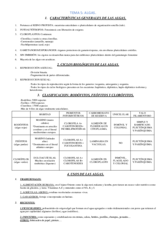 TEMA-5.pdf