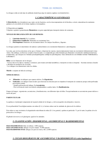TEMA-10.pdf
