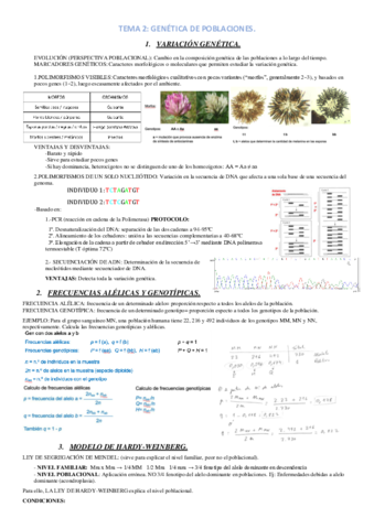 TEMA-2.pdf